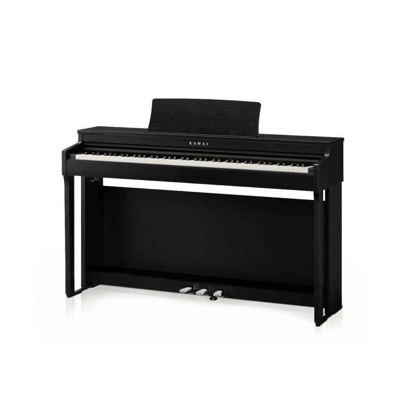 Kawai CN-201